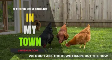 Navigating Local Chicken Laws: A Guide to Urban Poultry Regulations
