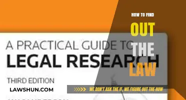 Navigating Legal Research: A Beginner's Guide to Finding the Law