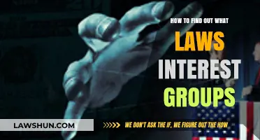 Uncovering Legal Focus: Strategies to Identify Interest Groups' Laws