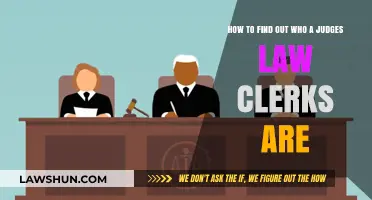 Discovering a Judge's Law Clerks: A Step-by-Step Guide to Finding Their Team
