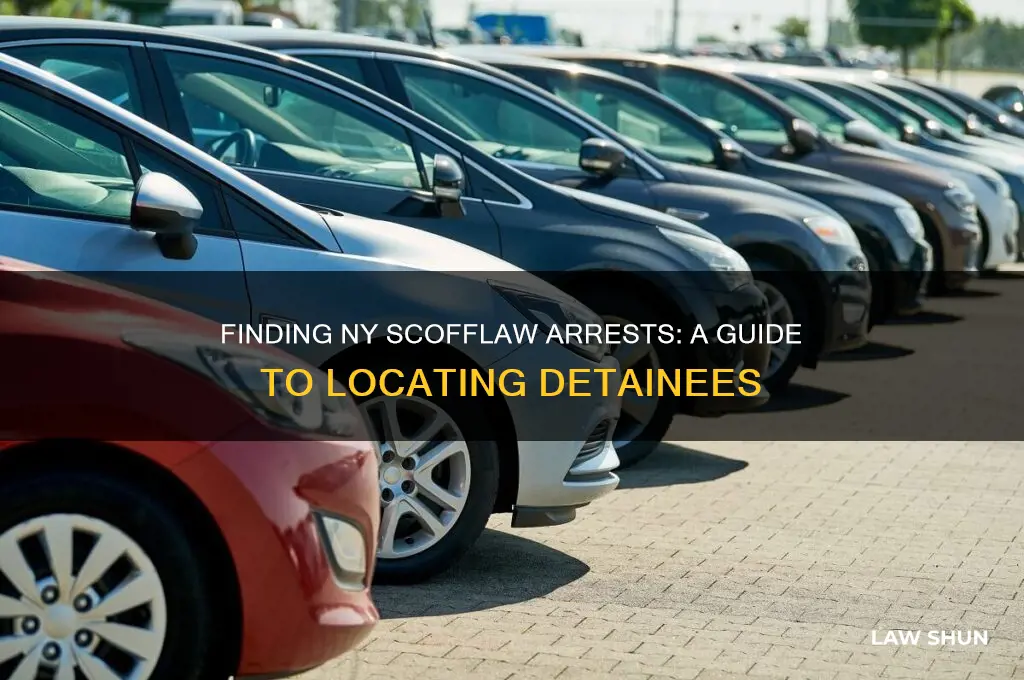 how to find someone arrested in ny on scoff law