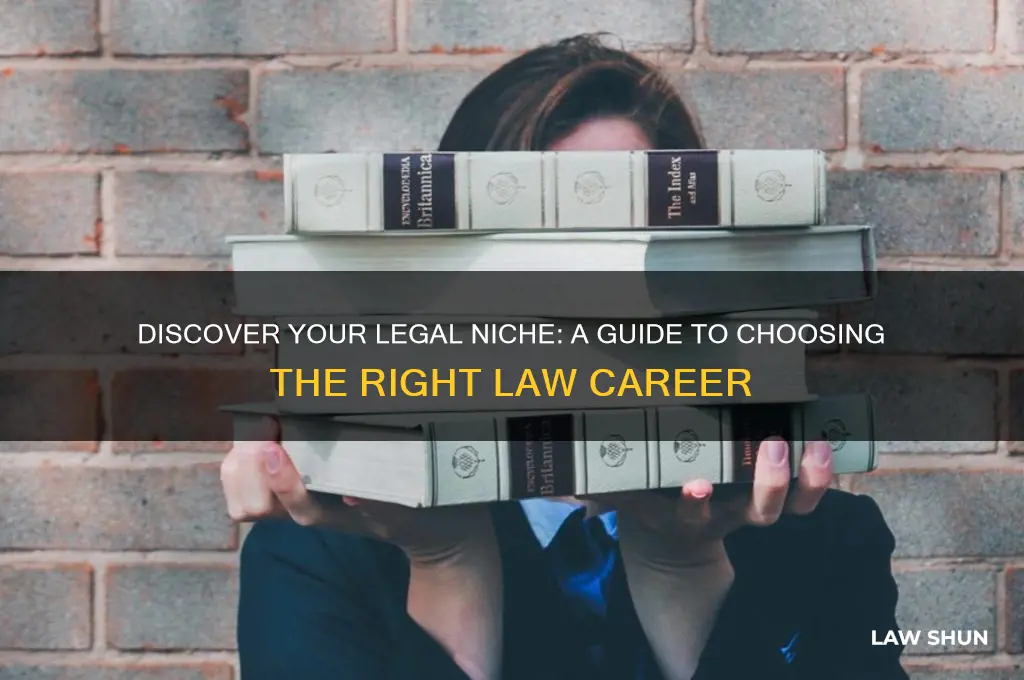 how to find the best type of law for you