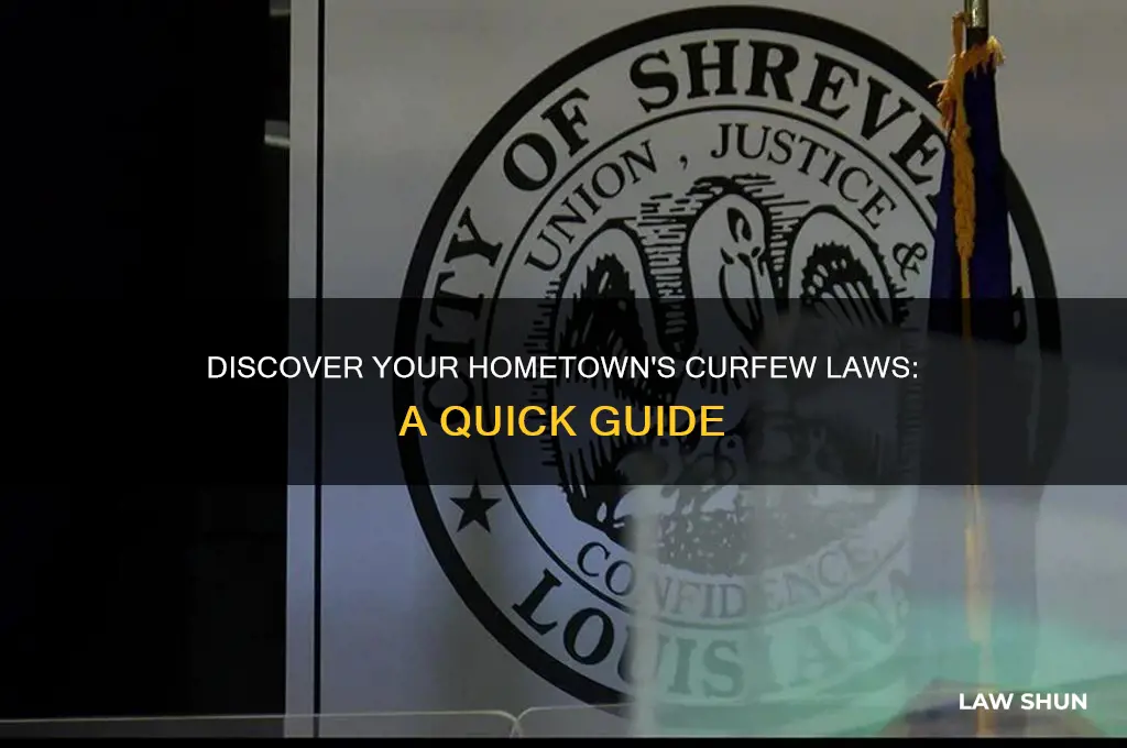 how to find the curfew laws for my hometown