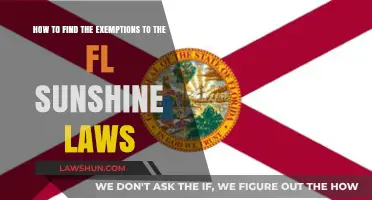 Uncovering Exemptions: Navigating Florida's Sunshine Laws for Transparency
