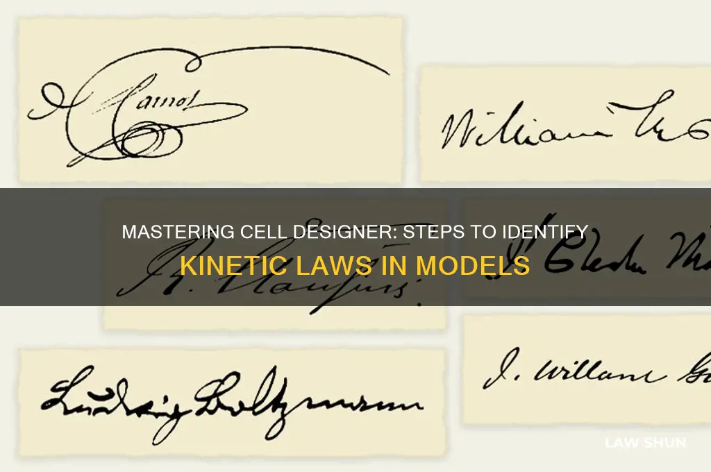 how to find the kinetic law in cell designer