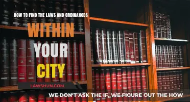 Navigating Local Governance: Discovering City Laws and Ordinances Easily