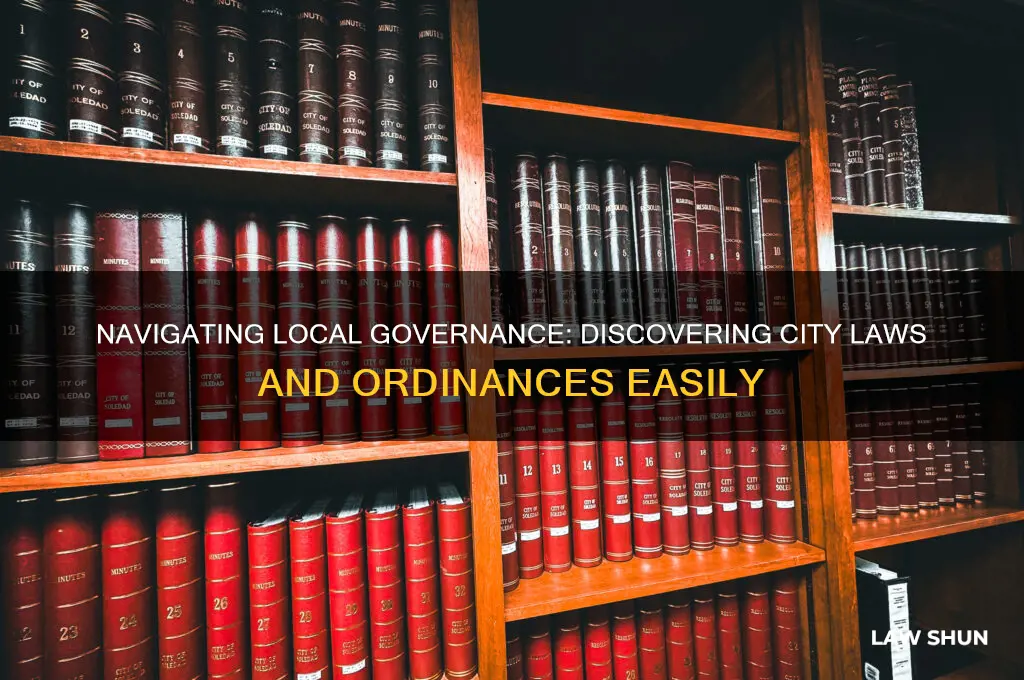 how to find the laws and ordinances within your city