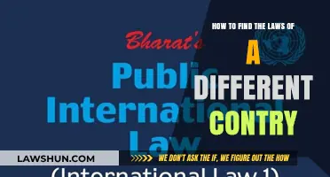 Exploring Foreign Laws: A Guide to Discovering Them