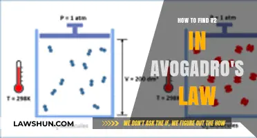 Mastering Avogadro's Law: A Step-by-Step Guide to Finding V2