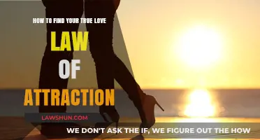 Attracting Your Soulmate: Mastering the Law of Attraction for True Love