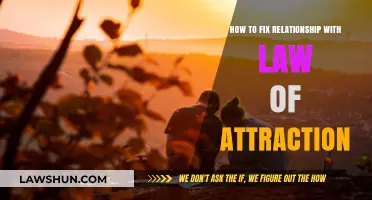 Heal Your Relationships: Using the Law of Attraction for Harmony