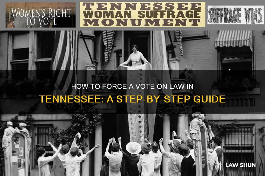 how to force a vote on law in tennessee