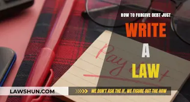 Forgiving Debt Made Simple: Crafting a Law to Erase Financial Burdens
