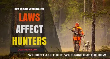 Conservation Laws Impact: How Hunters Adapt and Thrive Responsibly