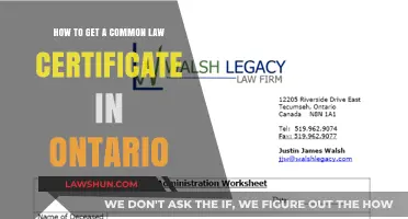 Getting a Common-Law Certificate in Ontario: The Process