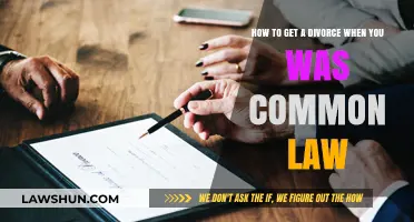 Navigating Common-Law Divorce: Your Guide