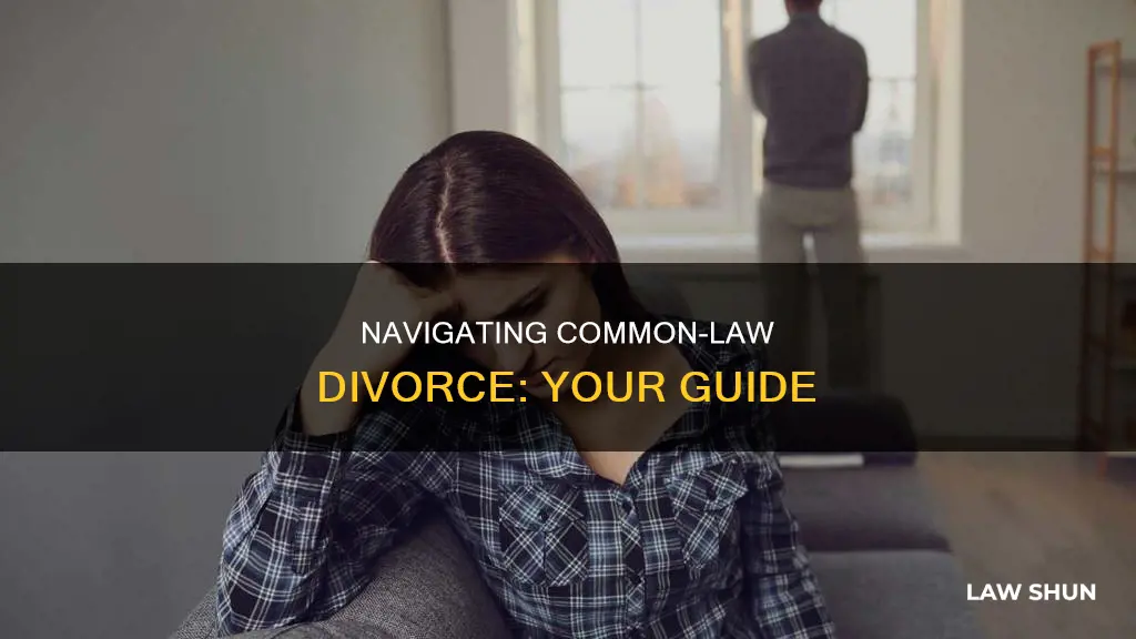 how to get a divorce when you was common law