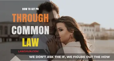 Common-Law Partners: PR Pathway