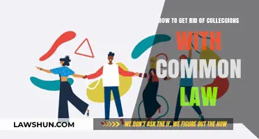 Strategies to Eliminate Debt Using Common Law