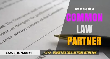Breaking Up with a Common Law Partner: A Guide