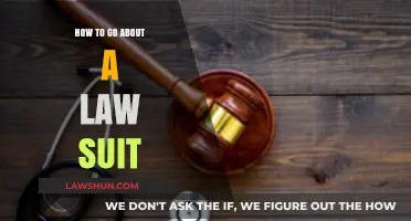 Navigating Legal Battles: A Step-by-Step Guide to Filing a Lawsuit