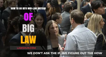 Navigating Mid-Law: A Strategic Guide to Avoiding Big Law Firms