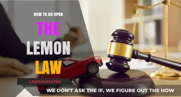 Navigating Lemon Law Claims: A Step-by-Step Guide to Protect Your Rights