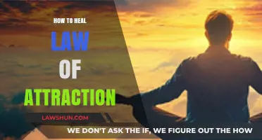 Healing the Law of Attraction: Aligning Mind, Energy, and Manifestation