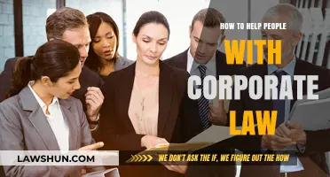 Empowering Individuals: Practical Strategies to Navigate Corporate Law Challenges