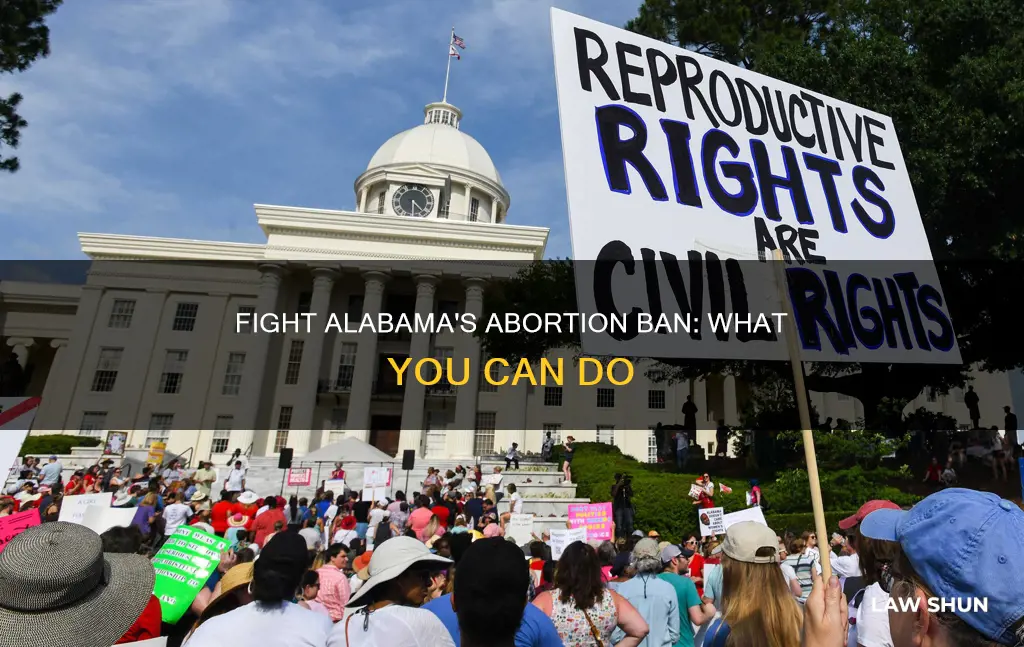 how to help stop the alabama abortion law