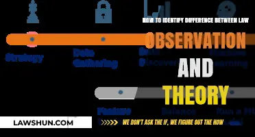 Science 101: Laws, Theories, and Observations Explained