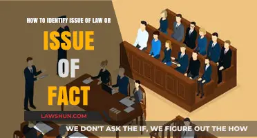 Distinguishing Legal Questions from Factual Disputes: A Comprehensive Guide