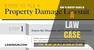 Spotting Legal Issues: A Lawyer's Guide