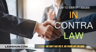Spotting Issues: A Guide to Contract Law Problems