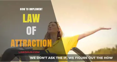 Mastering the Law of Attraction: Practical Steps to Manifest Your Dreams