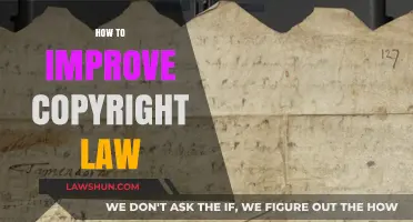 Enhancing Copyright Law: Balancing Protection, Innovation, and Public Access