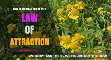 Attract Taller You: Using Law of Attraction for Height Growth