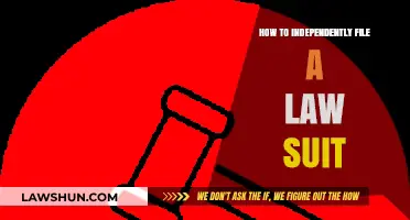 DIY Legal Guide: Steps to Independently File a Lawsuit Successfully
