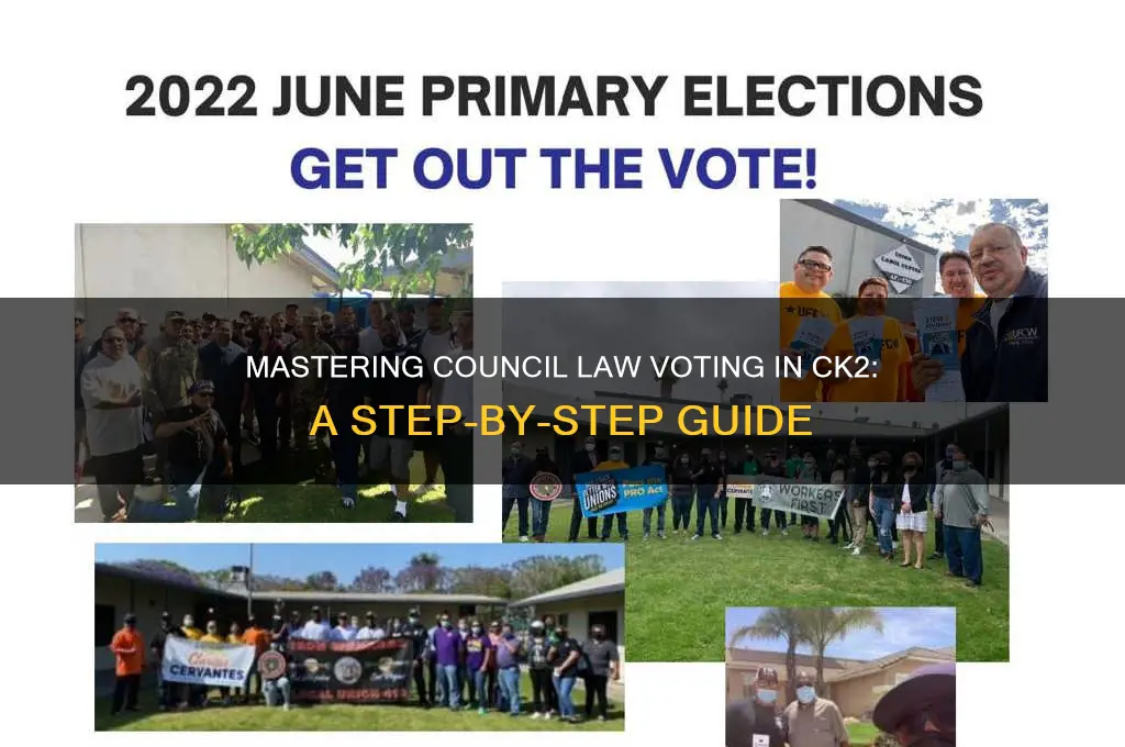 how to initiate council law vote ck2
