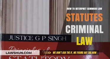 Understanding Criminal Law: Interpreting Common Law Statutes