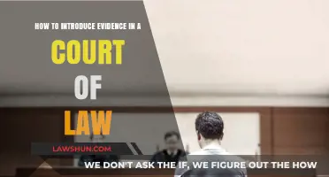 Mastering the Art of Presenting Evidence in Court: A Legal Guide