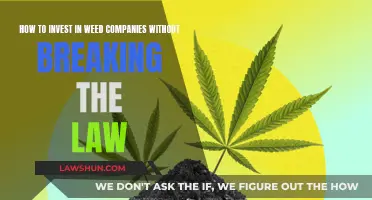 Weed Investments: Legally Navigating the Green Rush