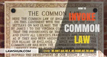 Understanding Common Law: Your Practical Guide