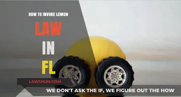 Florida Lemon Law Guide: Steps to Invoke Your Rights Effectively