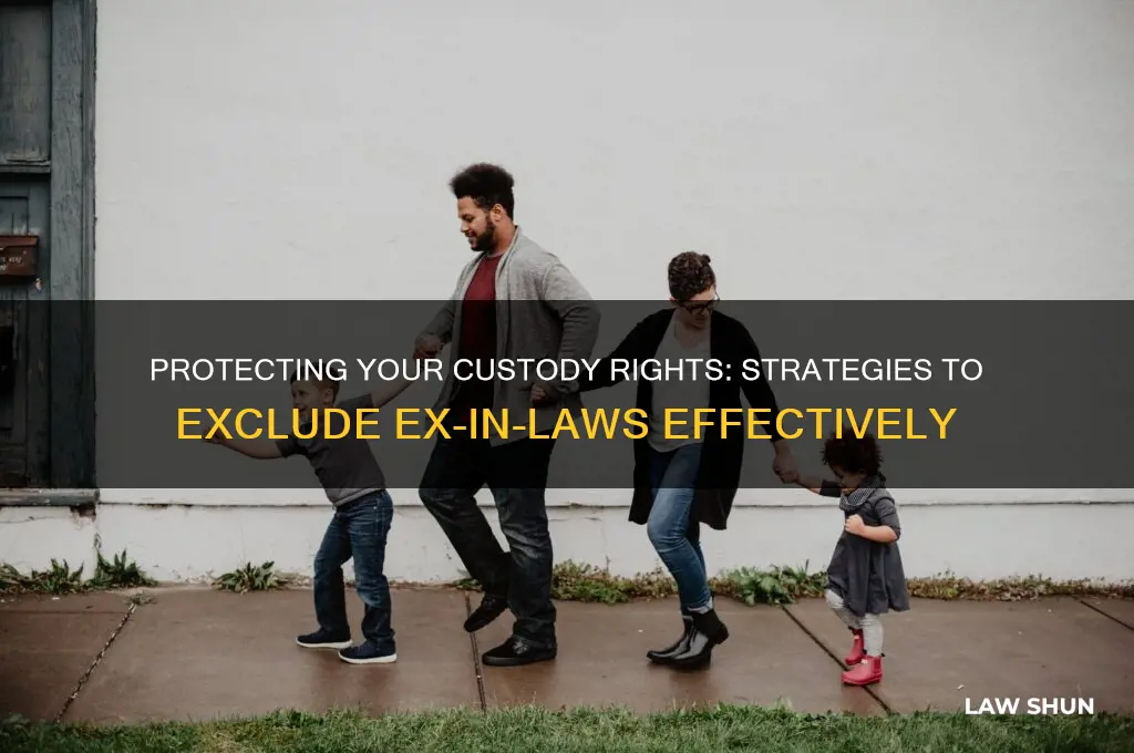 how to keep ex in laws out of custody matters