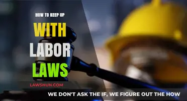 Staying Compliant: Essential Tips to Keep Up with Labor Laws
