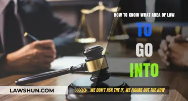 Discovering Your Legal Niche: A Guide to Choosing Your Law Specialization