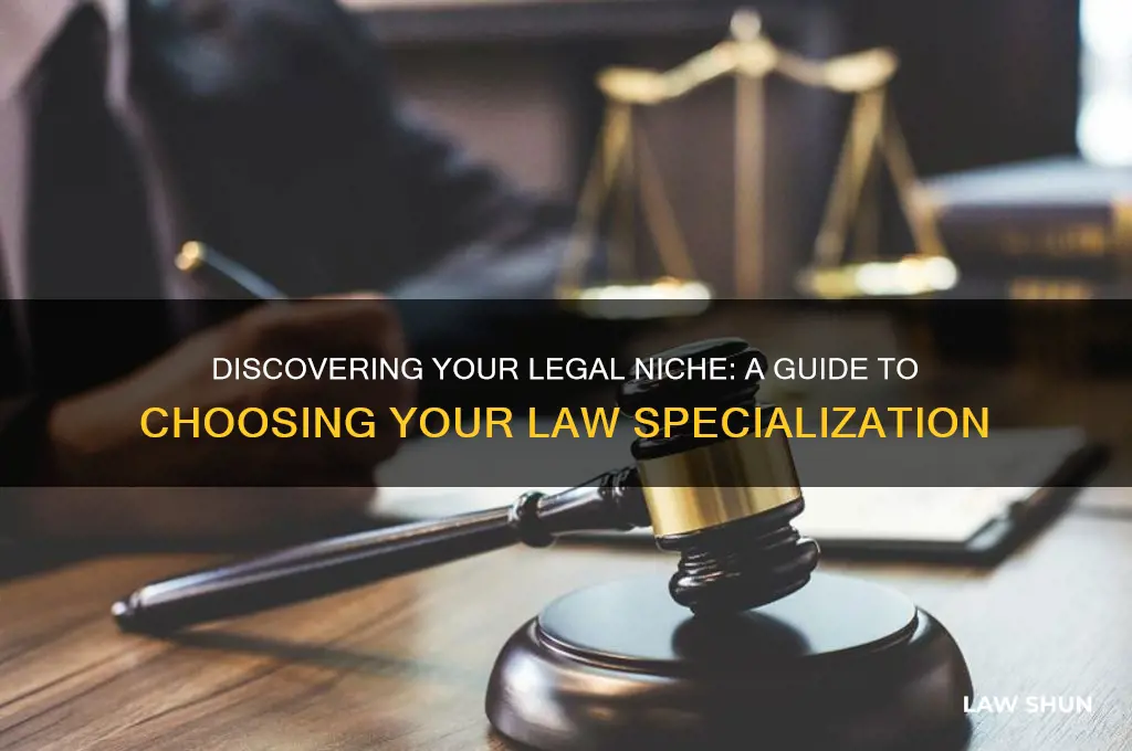 how to know what area of law to go into