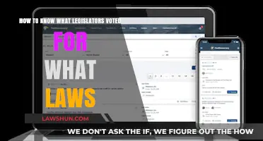 Tracking Legislative Votes: How to See What Laws Your Representatives Supported