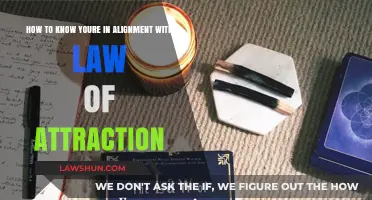 Recognizing Alignment: Signs You're Manifesting with the Law of Attraction
